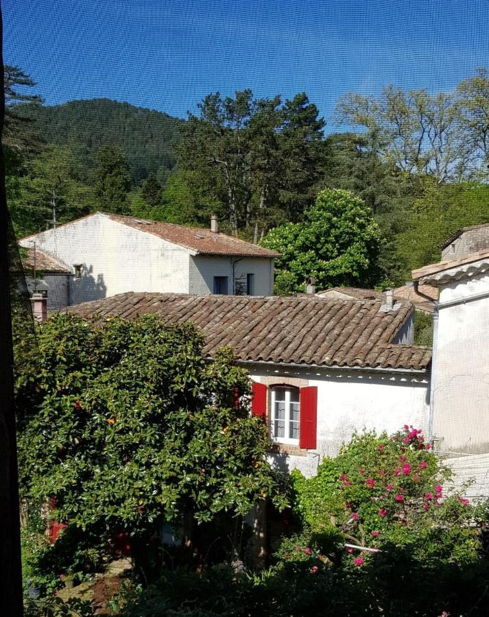 Vista Cevenol: Appartement 2 Chambres Saint-Jean-du-Gard Buitenkant foto