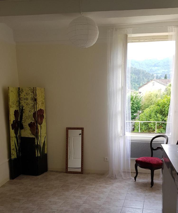 Vista Cevenol: Appartement 2 Chambres Saint-Jean-du-Gard Buitenkant foto